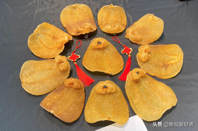 金兰赤嘴鱼胶的产地 2026年金兰赤嘴鱼胶的食用方法