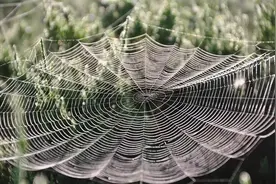 某位同学读《论语集注》后有感图片