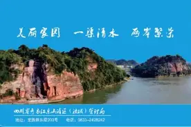 掠影 | 四川省青衣江乐山灌区标准化规范化宣传图册图片