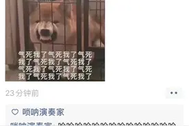 空姐变矿工、健身教练送外卖 疫情下你的生活轨迹改变了吗？图片