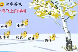语文微课堂：统编语文（四下）《11 白桦》图片
