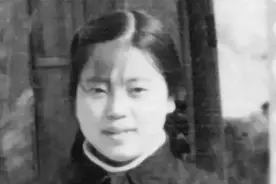 陈行甲：母亲说因为我，她才活了下来图片