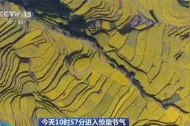 警惕“乍暖还寒”！5日10时57分进入惊蛰节气图片
