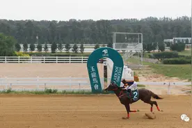 2019玉龙赛道1000米最快赛马：“华宇风度”及“初露锋芒”58秒65图片