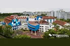 学校老师深夜买醉，不戴口罩还辱骂警察，被罚4千新元图片
