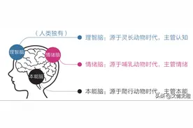 为什么农夫救了蛇，反而却被咬死？图片