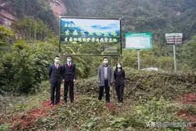 马边县检察院：当好法治战线的“护林人“图片