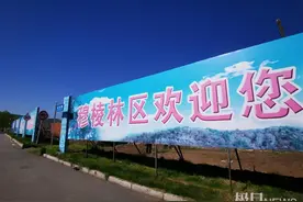 “完达山一号”放归山林！镇上居民目睹运虎车队驶过，放生林场重重把守图片