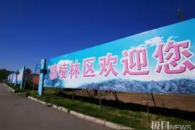 “完达山一号”放归山林！镇上居民目睹运虎车队驶过，放生林场重重把守图片