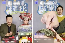 “旅游+电商+扶贫”同程集团的自救之路图片