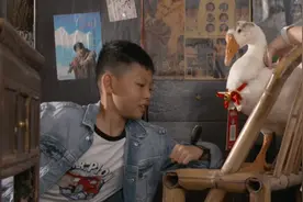 社会鹅变身重庆茶馆店小二，这只“幸运鹅”卖起萌来遭不住图片