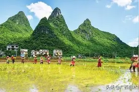 广西桂林市临桂区：守住“生命线” 发展走得稳图片