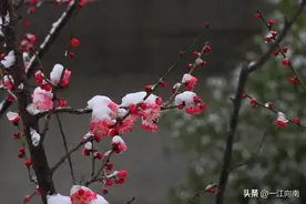 66岁的费玉清，至今未婚。但他对爱情的态度，值得每个人深思图片