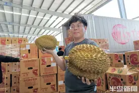 爱“莲”说②｜“白菜车”卖榴莲，有人赚得宝马有人赔进千万……榴莲为何惹人“留恋”？图片