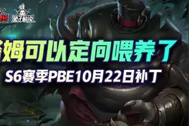 云顶之弈10月22日pbe改动，塔姆定向培养，赏金BUG修复图片