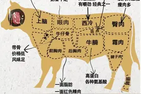 牛肉不同部位区别，美食口感自然不同图片
