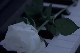 关于花的文案，听说你喜欢花，所以写了很多话图片