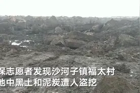 土也有人偷！黑龙江五常黑土地被承包者盗挖 涉嫌犯罪公安介入图片