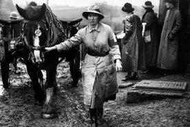 四轮马车为何没有在古代中国普及？问题不在没有技术发明图片