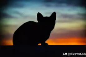 别回头，我不在图片