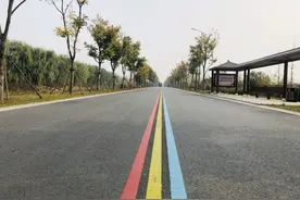 宿豫幸福大道有条网红“彩虹路”您打卡了吗？图片