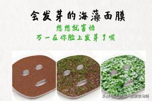 海藻面膜有胶原蛋白吗 2026年海藻面膜有胶原蛋白吗怎么用