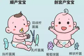 剖腹产：砍断母婴“菌”脉传承的一把利剑图片