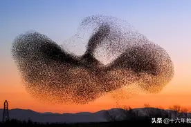 初中生物会考模拟三套模拟试卷+答案（建议收藏）图片