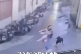 烈性犬未牵绳飞奔扑向小女孩，妈妈一把抱起女孩闪躲，母亲：依法处置犬只图片