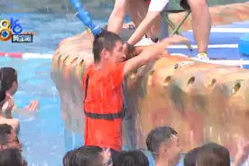 池里你们很清凉，岸边他们被晒伤图片