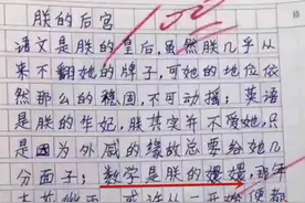 小学生作文《朕的后宫》，数学是嬛嬛，开始便错了，老师给满分图片