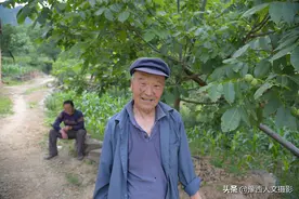 山村大爷跟老丈人学中医，治好偏瘫亲家母，医生儿子却贱卖中药材图片