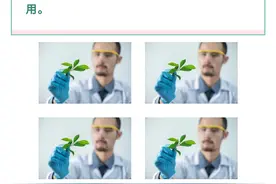 二甲双胍被当做减肥药？靠谱吗？非糖尿病患者可以吃吗？图片