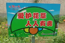 「创城看我的」铁西区工人村街道设立文明提示“小草牌”图片