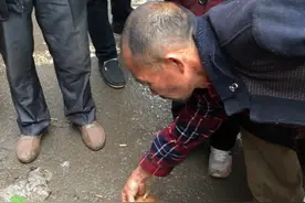 农村大爷捉一只“大鳖”舍不得吃拿集市卖1000元 结果让老人尴尬图片