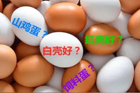 买鸡蛋，挑“红壳”还是“白壳”的鸡蛋好？图片