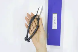 东方花道之插花工具保养大全（小原流、池坊、中华花艺通用）图片