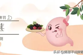 桑树全身是宝，果实、叶、枝、皮、根都是常用的中药材图片