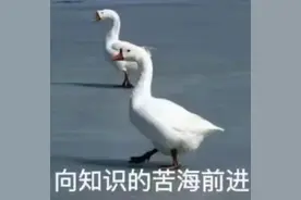 汽车后备箱的这个逃生装置，关键时刻能救命！快看看你的车有没有图片