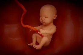 胎儿多少天能测出发育不良？胎儿的变化是瞬息万变的，孕妈要注意图片