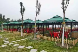 天津烧烤户外营地图片
