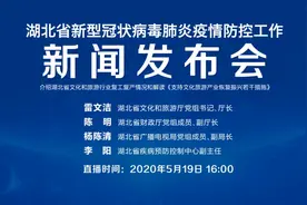 湖北博物馆、图书馆、美术馆何时恢复开放？有消息了！图片