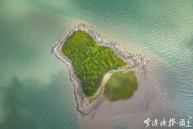 快看，宁波咸祥的“眼影盘”，好美图片