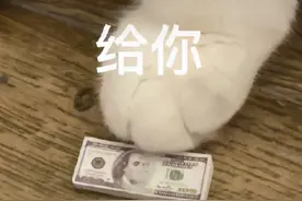 表情包：知不知道你错哪了图片