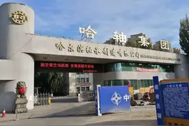 转载哈尔滨轴承集团破产重组有感图片