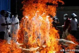 准备打疫苗了，选国药好还是科兴好？我们给你总结了一张表图片