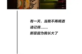 我曾经的理想就是骑马喝酒走天涯~图片