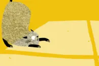 教育学实验：试错的小猫，带你了解儿童心理学图片