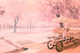 梦与现实的差距，与现实的大相径庭图片