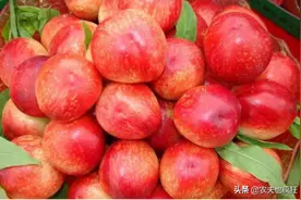 叫桃却酷似李子，反季节销售20元1斤，却被质疑转基因，为何？图片